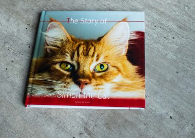 Voorleesboek Simon de kat